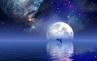 Dolphin Desktop Wallpaper Design Trends Premium