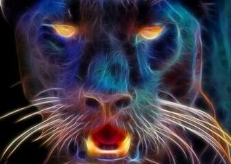Cool Panther Pictures On Animal Picture Society