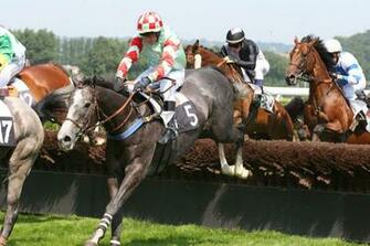 Wallpaper Jobs In Horse Racinghorse Racing