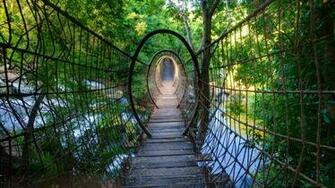Sway Bridge At The Palace Of Lost City North West Province South