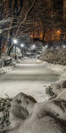 Winter Snow Nature Landscape Scenery