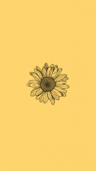 iPhone Aesthetic Sunflower Wallpaper