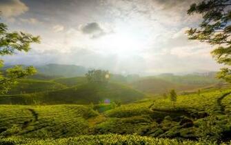 India Wallpaper Desktop