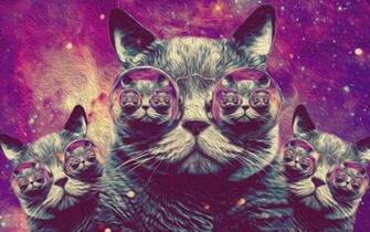Trippy Cat Wallpaper HD