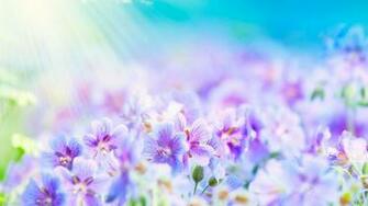 On July By Stephen Comments Off Elegant Desktop Wallpaper