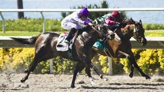 Del Mar Horse Races Wallpaper HD