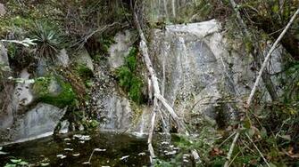 Energy News Mossy Oak Break Up Wallpaper Picswallpaper
