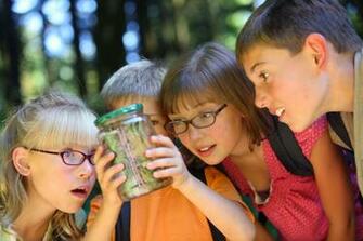 Children Surprise Cognition Bank Animals Stock Photos