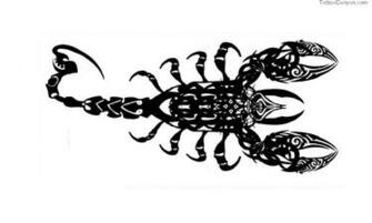 Designs Scorpion Of Different Tribal Elements Tattoo Wallpaper