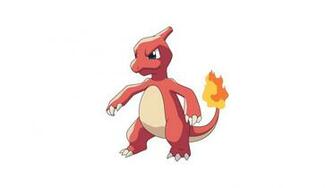 Charmeleon Wallpaper Pokemon