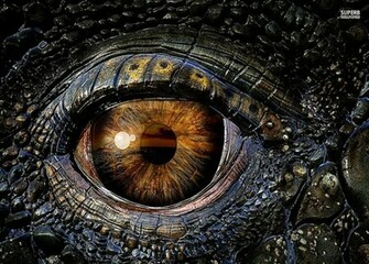 Dragon Eye Wallpaper Background