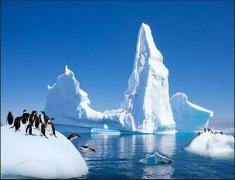Large 3d Background Wallpaper Cute Arctic Penguin Mural