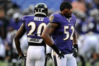 Baltimore Ravens Wallpaper Ed Reed Galleryhip