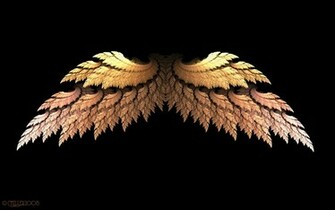 Golden Angel Wings By Shadoweddancer
