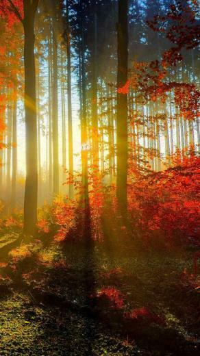 Cool Samsung Galaxy S3 Wallpaper Crazyleaf Design