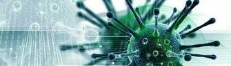 Administrative Structure Department Of Microbiology And