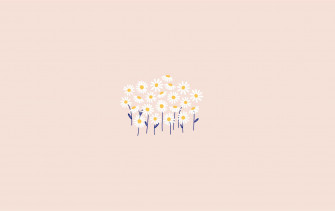 Unlock Your Creativity With Daisy Aesthetic Computer Wallpaper