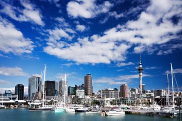 Beautiful Piece Auckland Mobile Desktop Photos
