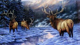 Elk Wallpaper HD Net