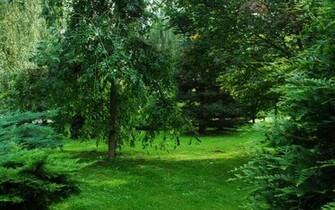 My Wallpaper Nature Background