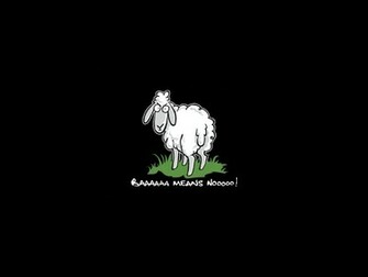It S HD Animals Funny Wallpaper Pictures