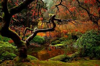 3d Autumn Desktop Wallpaper In HD