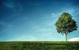Rhythm Of Living With Image Desktop Wallpaper Fall Landscape