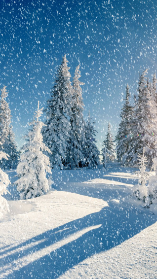 Snow Aesthetic Wallpaper
