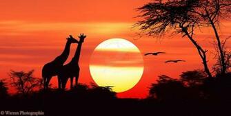 Sunset My Little One Likes