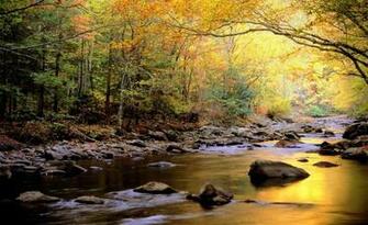 Beautiful Amazing Nature HD Wallpaper Techstop