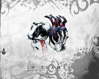 In Flames Come Clarity Lowbird Der Lowe Bird F Ngt Den Wurm
