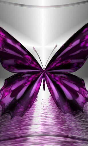 Butterfly 3d Wallpaper For Android Von Hanna Appszoom