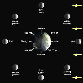 Phases Of The Moon