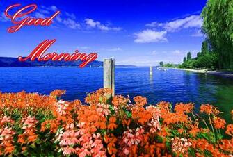Good Morning Image Wallpaper Photo Pics HD For