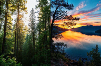 Dual Monitor Nature Wallpaper