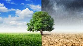 Impact Of Climate Change On Spread Infectious Diseases Could Be