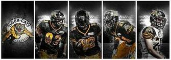 Matthew Sharpe On Great Seeing Ticats Wallpaper Series
