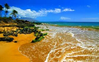 Big Beach Maui Hawaii HD Wallpaper Wallpaper13