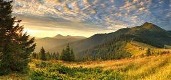 Landscape Wallpaper
