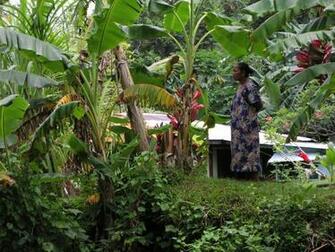 Slideshow For Chuuk And The Chuukese