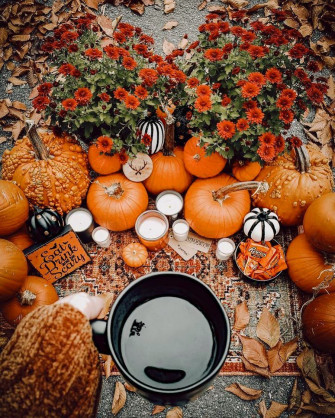 Picture Fall Wallpaper