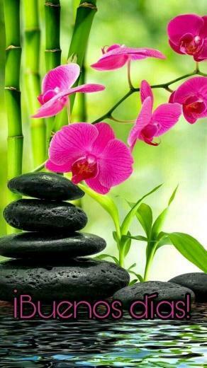 Cecilija On Saludos Zen Wallpaper Nature