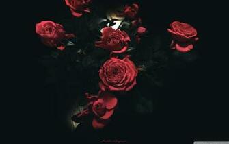 Dark Roses 4k HD Desktop Wallpaper For Ultra Tv Wide