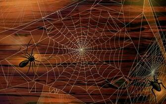 Scary Halloween HD Wallpaper Pumpkins Witches Spider Web