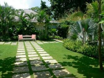 Tropical Landscape Ideas