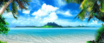 Tropical Ocean Island Palm Trees HD Wallpaper 4k Ultra Wide Tv