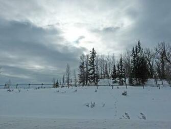 Winter In Wyoming Traveler Photo Contest National Geographic