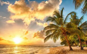 Ocean Beach Paradise Tropical Palms Sea