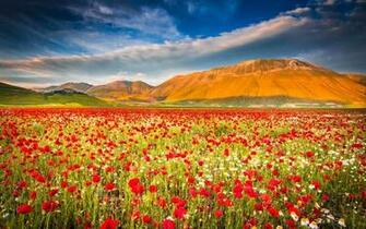 Castelluccio Di Norcia X Widescreen Wallpaper