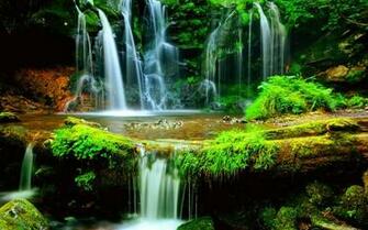 Landscape Green Cute Desktop Image Windows Mac Wallpaper